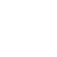 Security Shield - success - pass - Transparent Background PNG