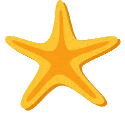 Starfish - pentagram - cartoon - Transparent Background PNG