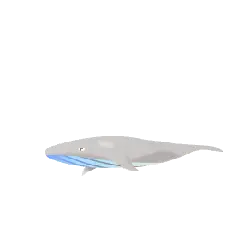 Whale - marine life - mammal - Free PNG