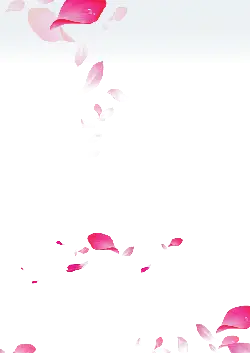 Pink Petals Falling - Free for Commercial Use PNG - decoration