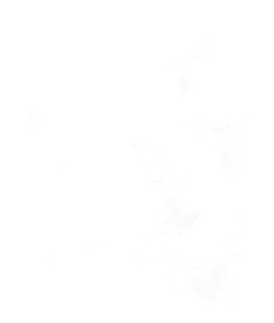 Butterflies - black - Lossless PNG