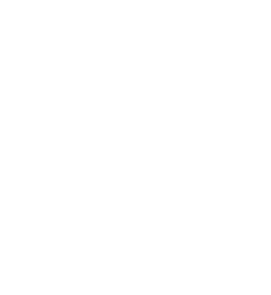 Olive Branch - victory - High Resolution PNG