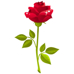 Red Rose - plant - Curated PNG