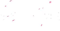 Pink Petals Falling - romantic - High Download Count PNG