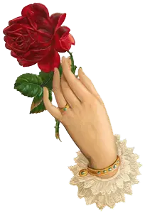 Hand Holding Red Rose - hand - PNG Images