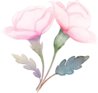 Pink Flowers - pink - High Resolution PNG