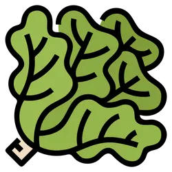 Lettuce - Curated PNG