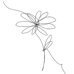 Abstract Line Art - drawing - Transparent Layer PNG