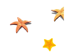Sea Star - pentagon shape - orange - Free PNG