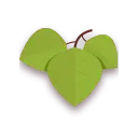 Grape Leaf - Trending PNG