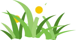 Flowers in Grass - nature - No Watermark PNG