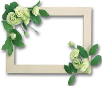 White Rose Decorative Frame - green leaves - Lossless PNG