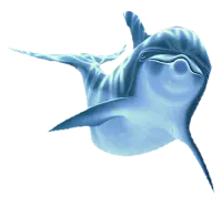 Dolphin - jumping - mammal - PNG Images