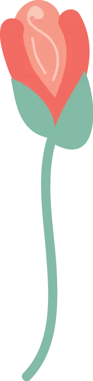 Rose - High Download Count PNG - love
