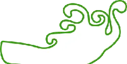Abstract Pattern - white - green - No Background PNG