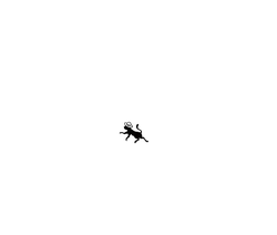 animal - Black Cat - Lossless PNG - Pic 27