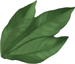 Clover - High Resolution PNG - leaf
