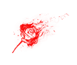 Flaming Rose - No Watermark PNG