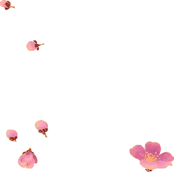 Pink Cherry Blossoms - pink - Recommended PNG