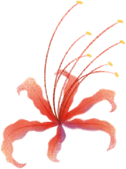 Red Flower - red - art - No Watermark PNG