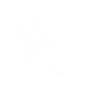 Galaxy - galaxy - body - High Resolution PNG