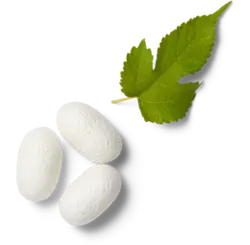 White Pills and Green Leaf - nature - High Resolution PNG
