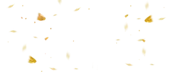 Gold Butterfly - black background - PNG Images