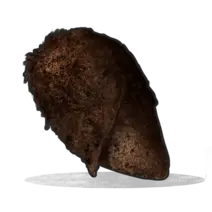 Brown Leaf - textured - High Resolution PNG