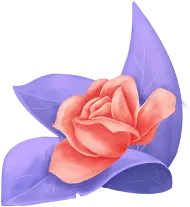 Rose - Designer's Pick PNG - leaf
