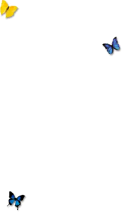 Colorful Butterflies - Lossless PNG