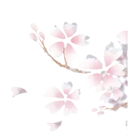 Cherry Blossom - High Quality PNG - Recommended PNG