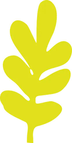 Oak Leaf - green - leaf - Free Download PNG