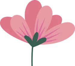 Pink Flower - cartoon - No Watermark PNG