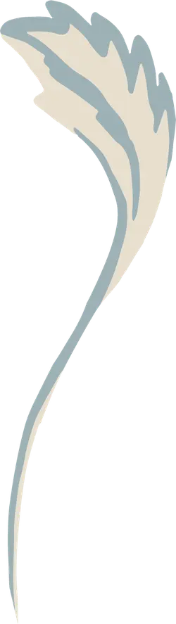 Feather - artistic - Free PNG