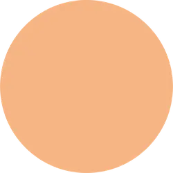 Orange Circle - High Download Count PNG
