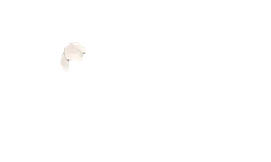 White Petal - light - High Resolution PNG