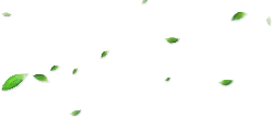 Falling Leaves - green - High Resolution PNG