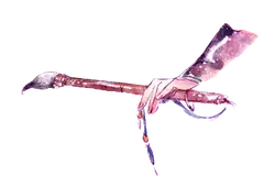 Dragonfly - insect - High Resolution PNG