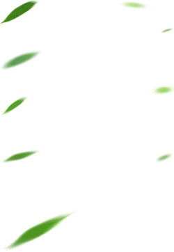 Green Leaves - nature - Transparent Layer PNG