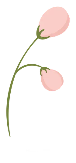 Pink Flowers - illustration - simple - No Background PNG