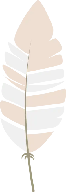 Feather - artistic - soft - High Resolution PNG