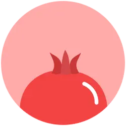 Pomegranate - fruit - shiny - High Resolution PNG