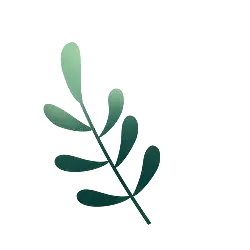 Green Branch with Leaves - Transparent Layer PNG