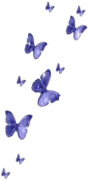 Blue Butterflies - art - Free PNG