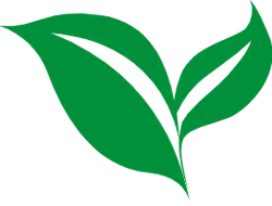 Three Leaves - nature - Transparent Layer PNG