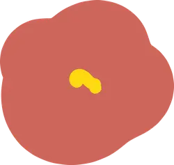 Red Flower - beautiful - Transparent Layer PNG