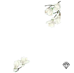 White Flower Pattern - black background - Lossless PNG