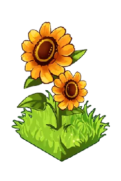 Sunflower - grass - sunlight - PNG Images