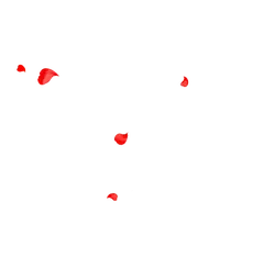Rose Petals - romantic - Free for Commercial Use PNG