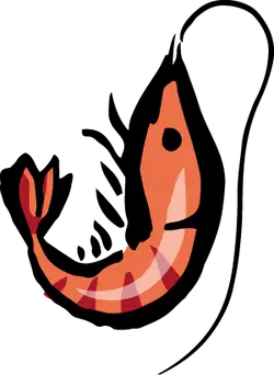 Shrimp - food - red - Transparent Background PNG
